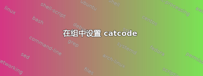 在组中设置 catcode