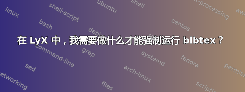 在 LyX 中，我需要做什么才能强制运行 bibtex？