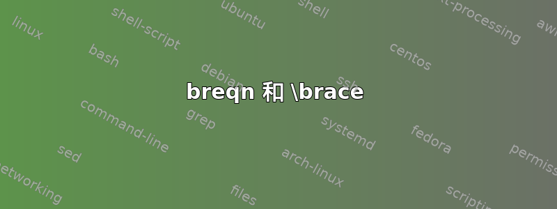 breqn 和 \brace