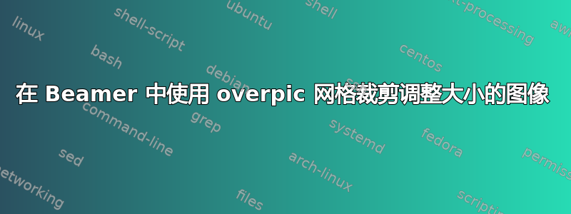 在 Beamer 中使用 overpic 网格裁剪调整大小的图像