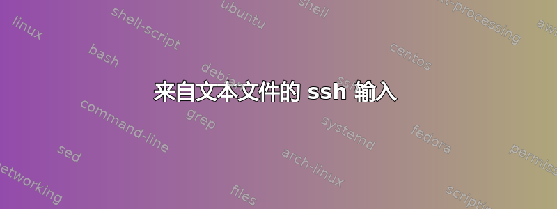 来自文本文件的 ssh 输入