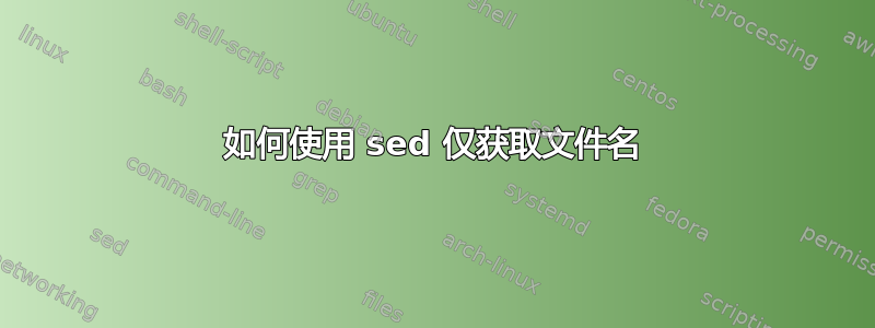 如何使用 sed 仅获取文件名