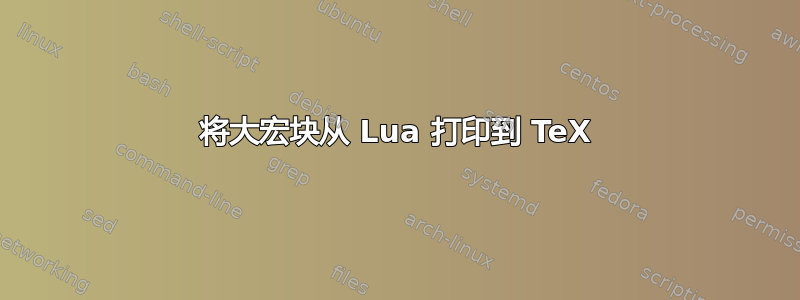 将大宏块从 Lua 打印到 TeX