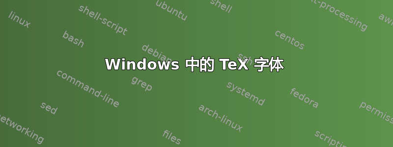 Windows 中的 TeX 字体