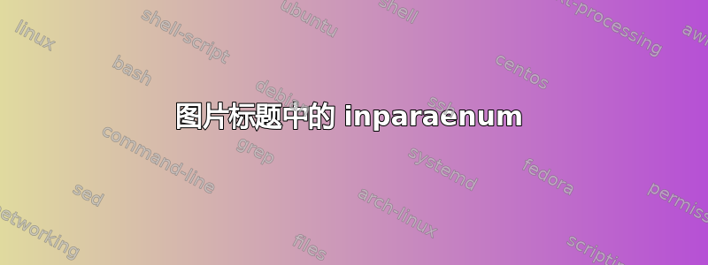 图片标题中的 inparaenum