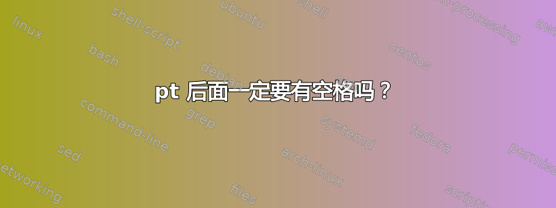 pt 后面一定要有空格吗？