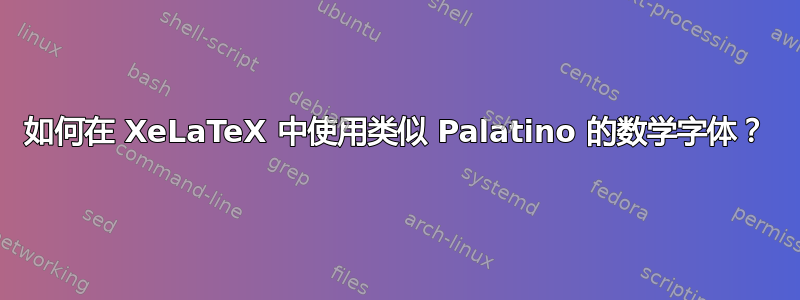 如何在 XeLaTeX 中使用类似 Palatino 的数学字体？