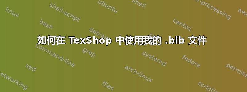 如何在 TexShop 中使用我的 .bib 文件