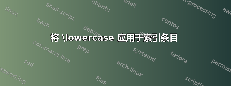 将 \lowercase 应用于索引条目