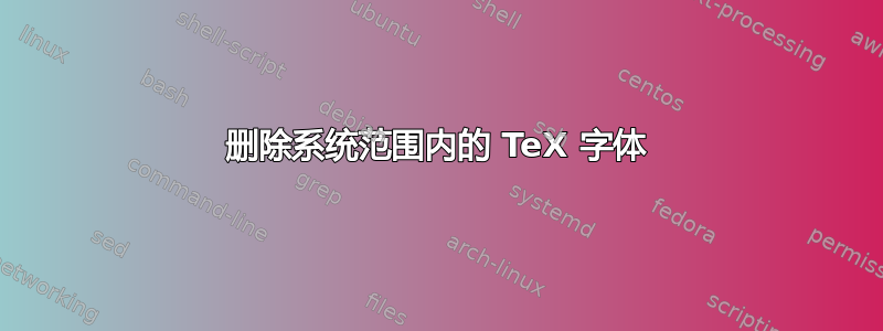 删除系统范围内的 TeX 字体