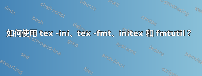 如何使用 tex -ini、tex -fmt、initex 和 fmtutil？