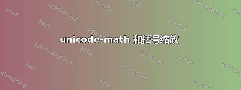 unicode-math 和括号缩放