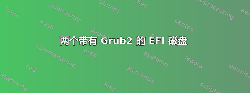 两个带有 Grub2 的 EFI 磁盘