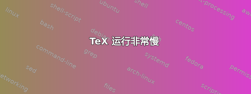 TeX 运行非常慢