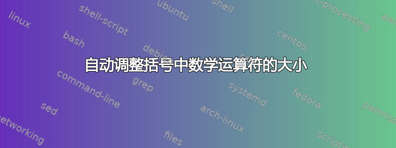 自动调整括号中数学运算符的大小