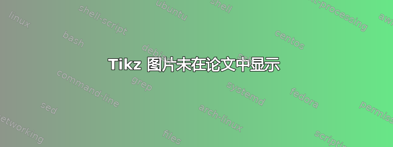 Tikz 图片未在论文中显示