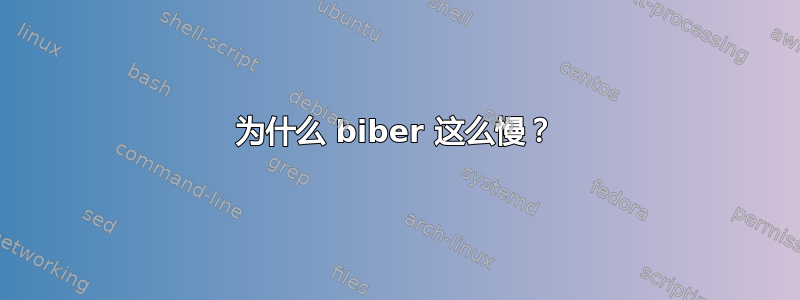 为什么 biber 这么慢？