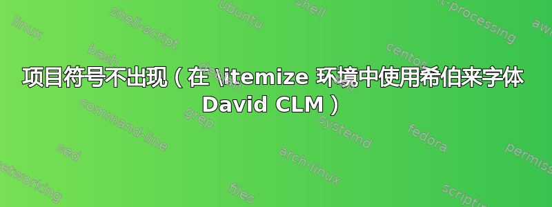 项目符号不出现（在 \itemize 环境中使用希伯来字体 David CLM）