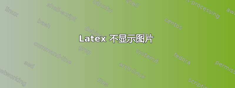 Latex 不显示图片