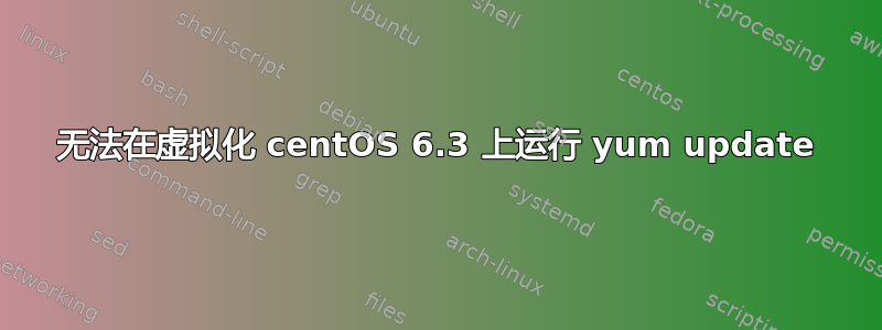 无法在虚拟化 centOS 6.3 上运行 yum update