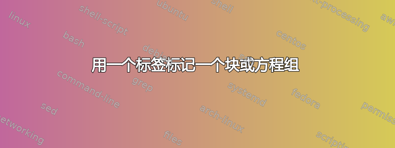 用一个标签标记一个块或方程组