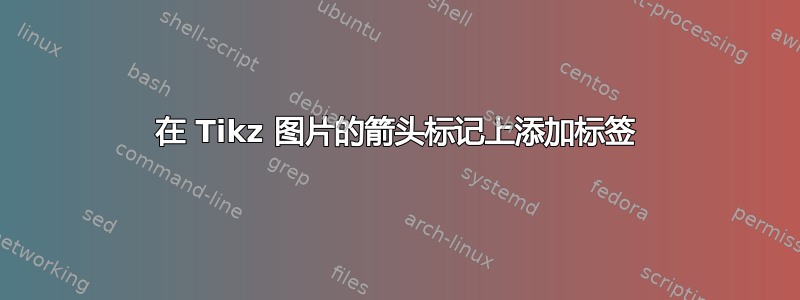 在 Tikz 图片的箭头标记上添加标签