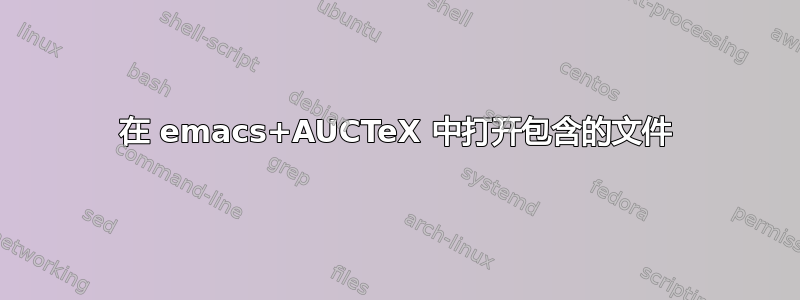 在 emacs+AUCTeX 中打开包含的文件