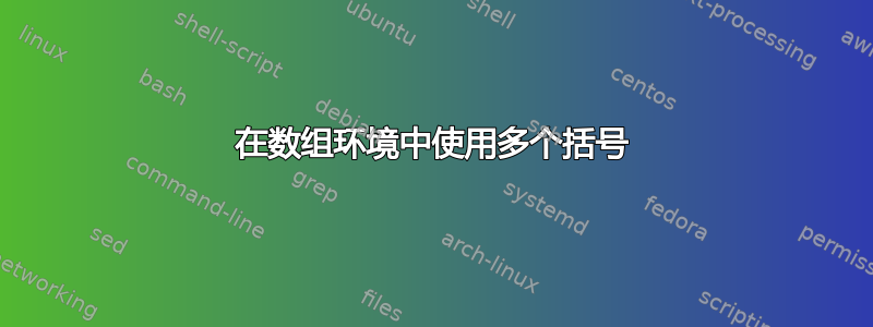 在数组环境中使用多个括号