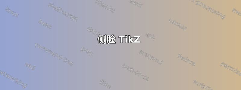 侧脸 TikZ