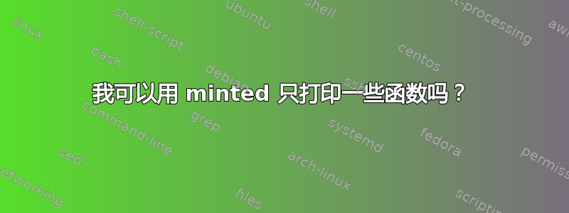 我可以用 minted 只打印一些函数吗？