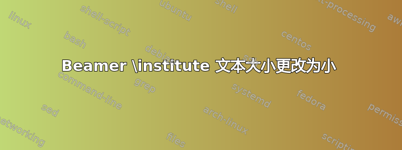 Beamer \institute 文本大小更改为小