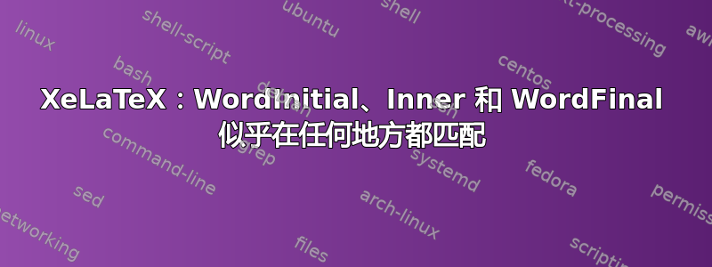 XeLaTeX：WordInitial、Inner 和 WordFinal 似乎在任何地方都匹配