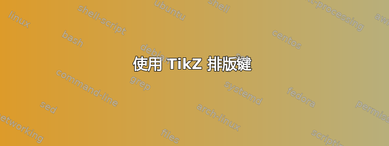 使用 TikZ 排版键