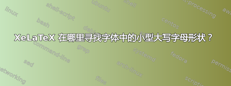 XeLaTeX 在哪里寻找字体中的小型大写字母形状？