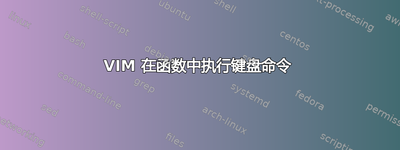 VIM 在函数中执行键盘命令