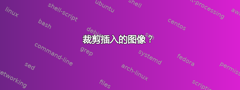 裁剪插入的图像？