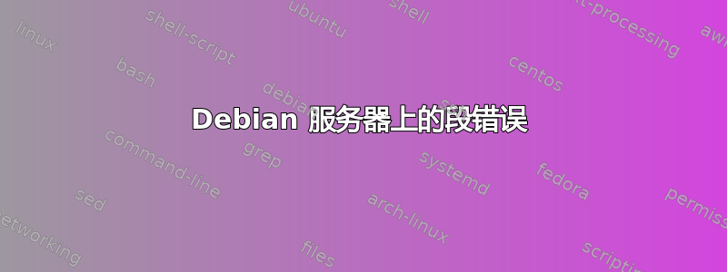 Debian 服务器上的段错误