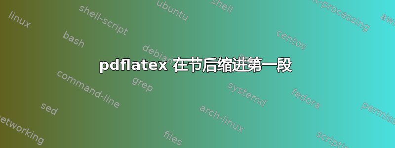 pdflatex 在节后缩进第一段