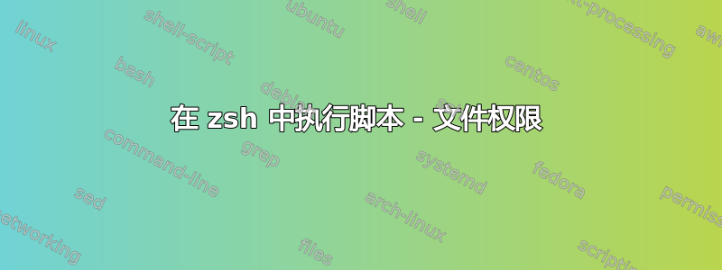 在 zsh 中执行脚本 - 文件权限