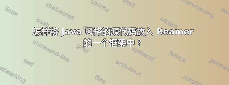 怎样将 Java 风格的源代码放入 Beamer 的一个框架中？