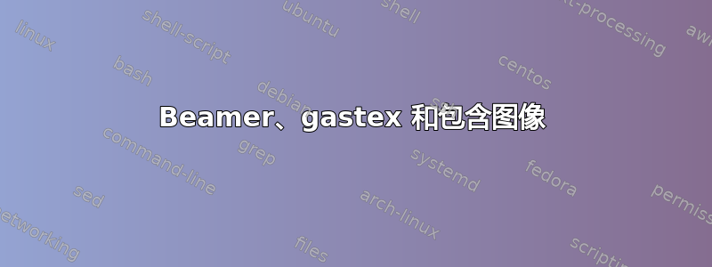 Beamer、gastex 和包含图像