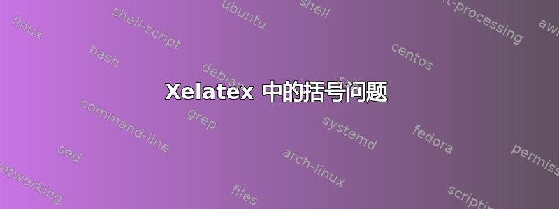 Xelatex 中的括号问题