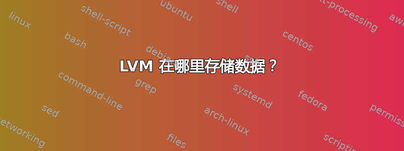 LVM 在哪里存储数据？