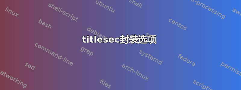 titlesec封装选项