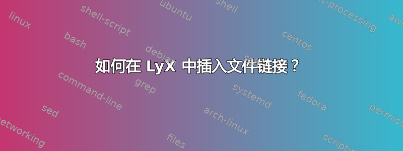 如何在 LyX 中插入文件链接？