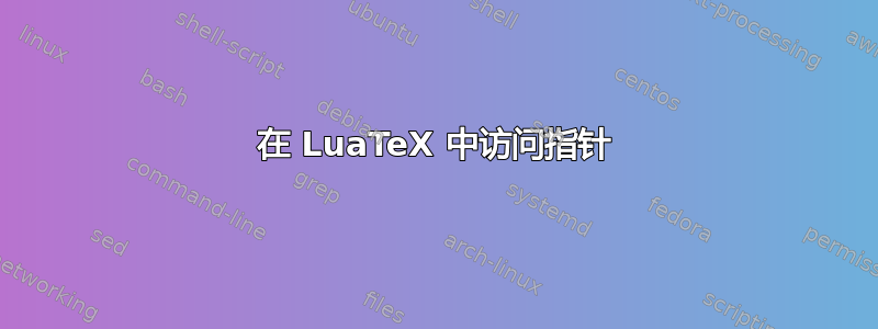 在 LuaTeX 中访问指针