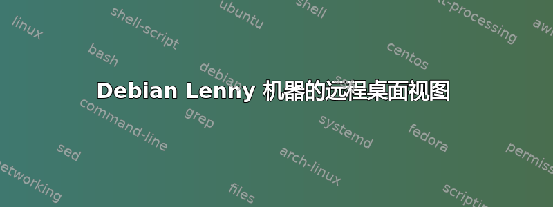 Debian Lenny 机器的远程桌面视图