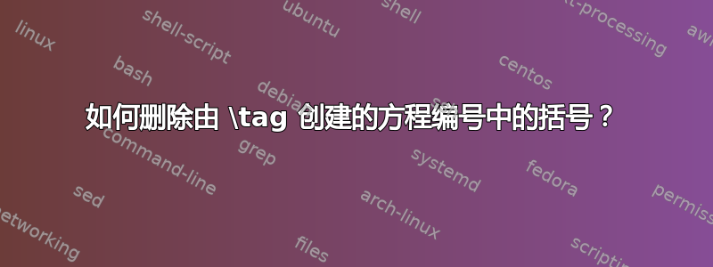 如何删除由 \tag 创建的方程编号中的括号？