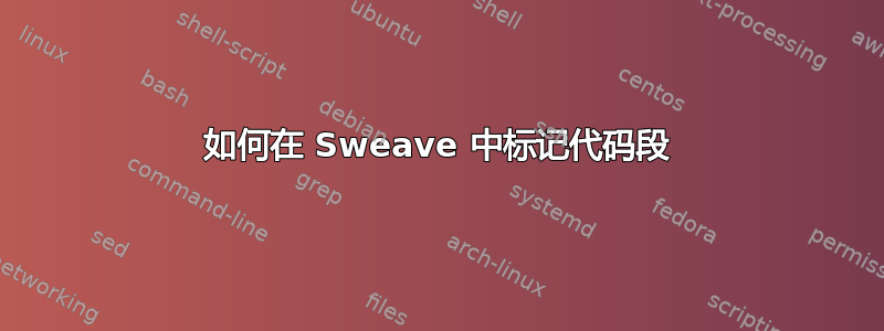 如何在 Sweave 中标记代码段