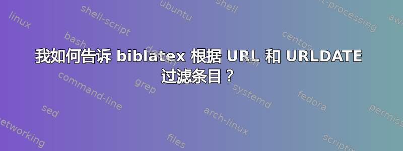 我如何告诉 biblatex 根据 URL 和 URLDATE 过滤条目？